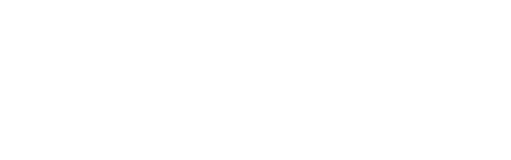 Synerja
